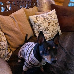 Meet your Posher, Molly